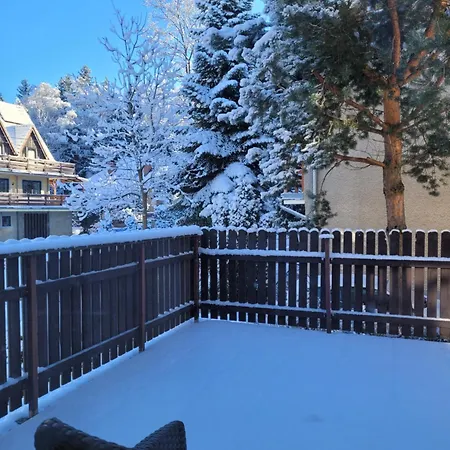 4 Pory Roku カルパッチ