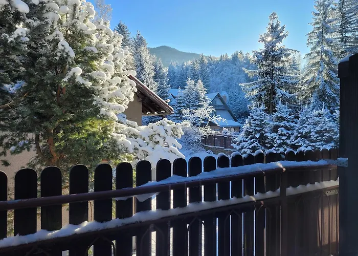 4 Pory Roku 3* カルパッチ